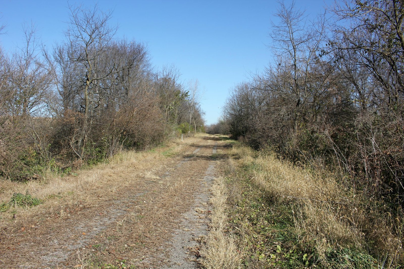 Looking south